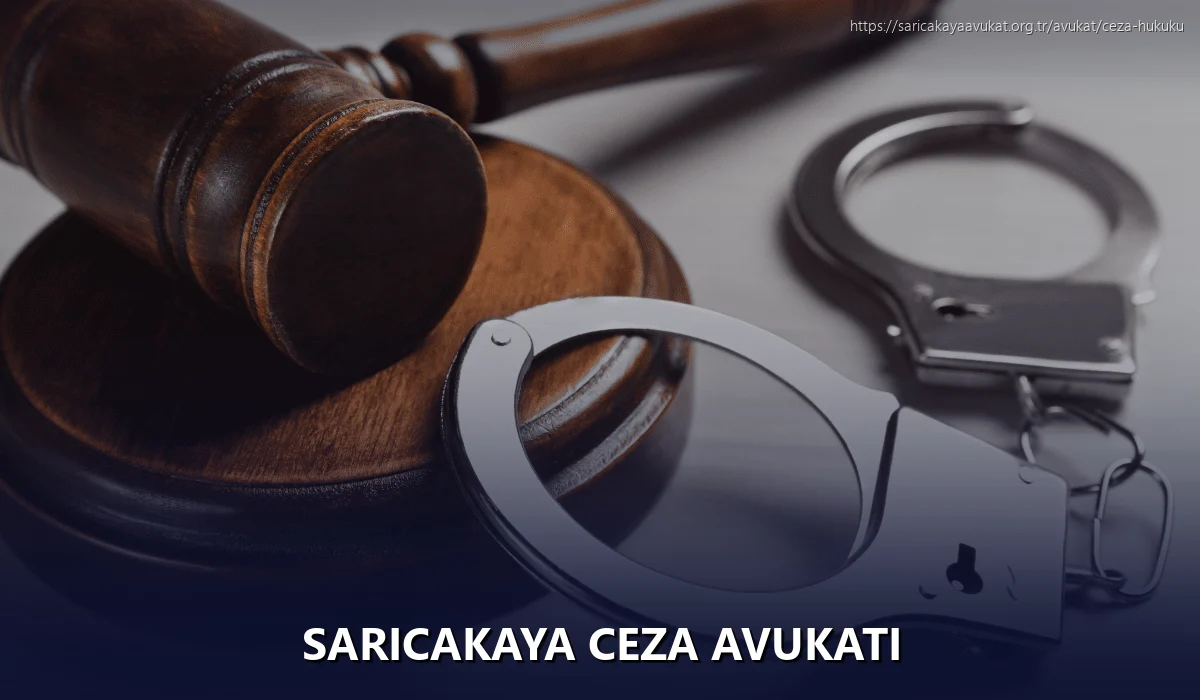 Saricakaya Ceza Avukatı